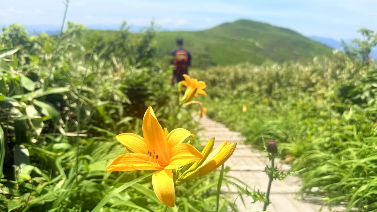 ~とやまのやま~ 今年も行ってきました!2025年「白木峰(しらきみね)」の最新情報!